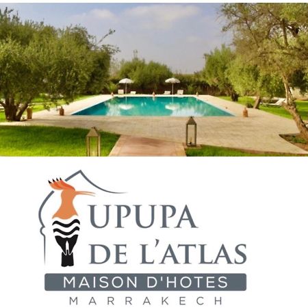 Upupa De L'Atlas Ouled el guerne Zewnętrze zdjęcie