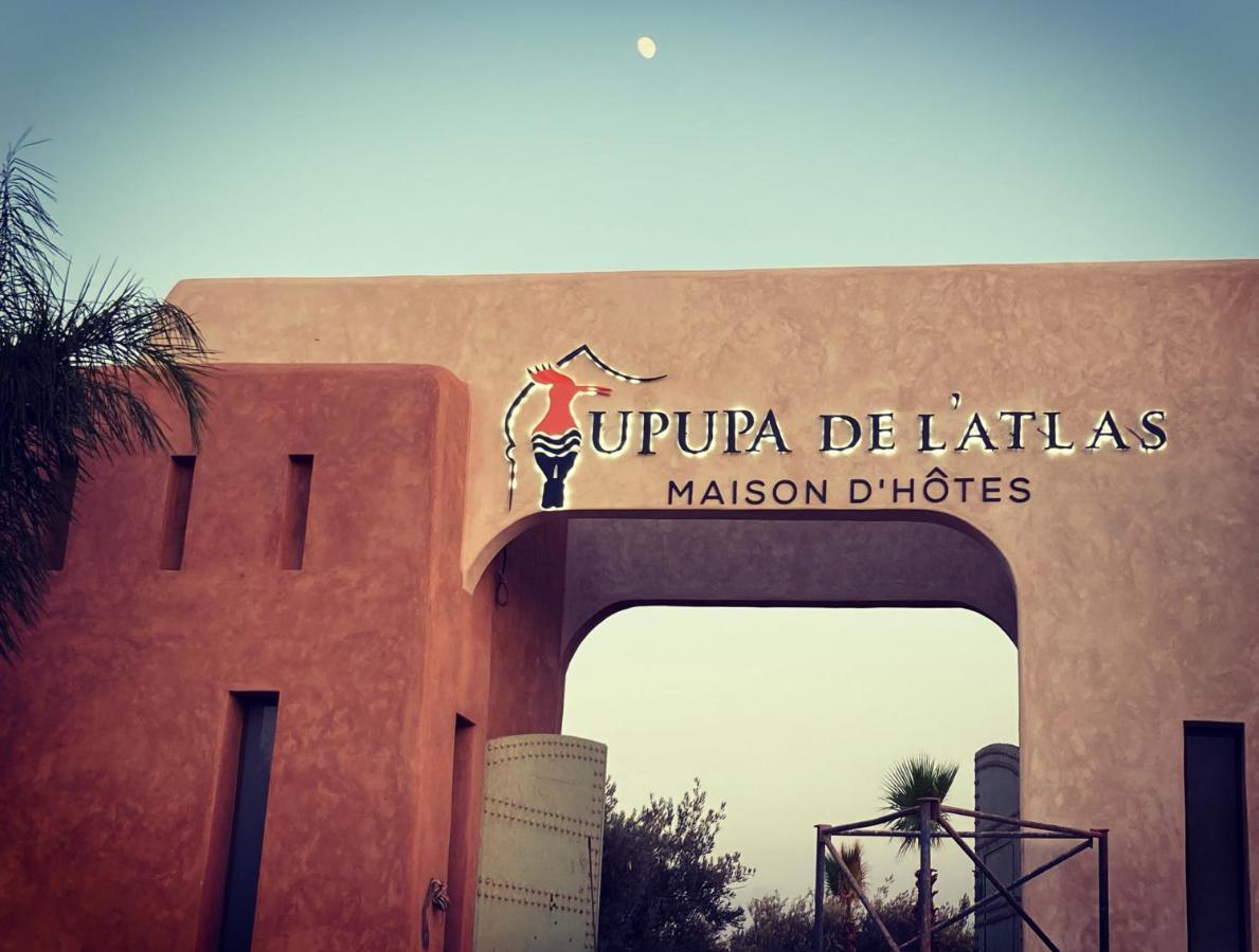 Upupa De L'Atlas Ouled el guerne Zewnętrze zdjęcie