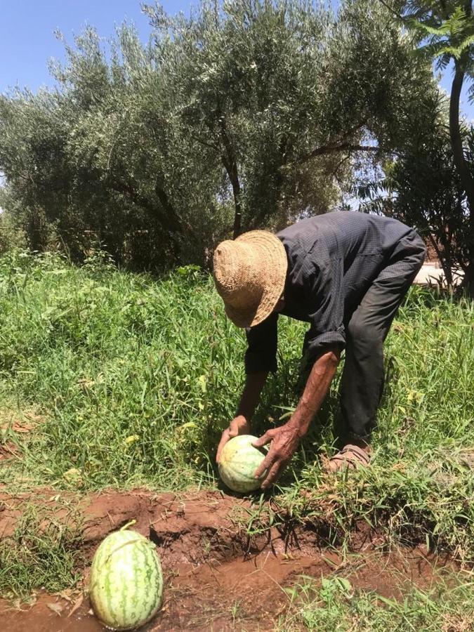 Upupa De L'Atlas Ouled el guerne Zewnętrze zdjęcie