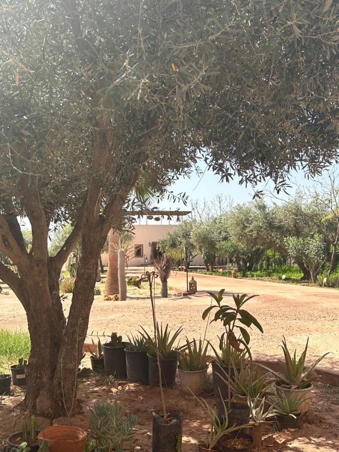 Upupa De L'Atlas Ouled el guerne Zewnętrze zdjęcie